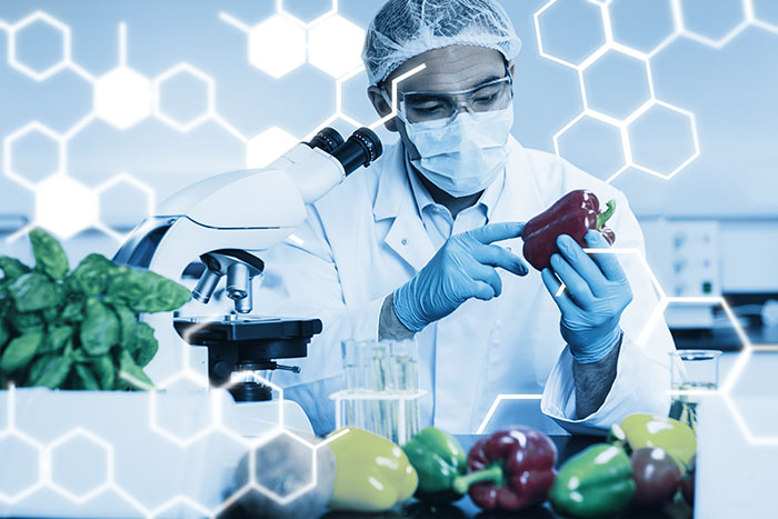 Food Safety and Quality Standards: Whose Responsibility is it?