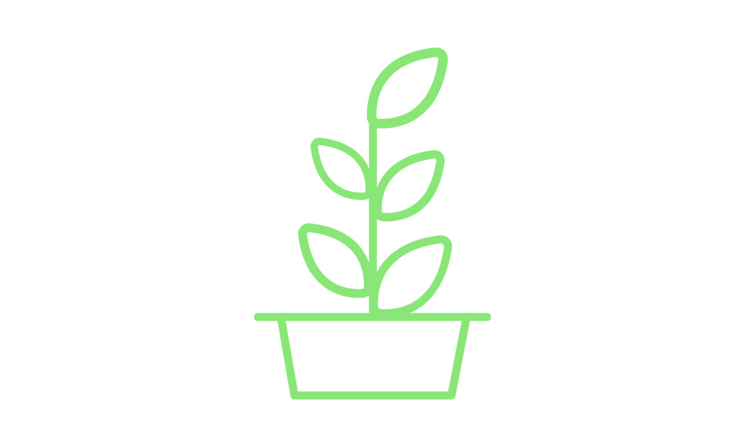 CSR: How to Improve Your Efforts