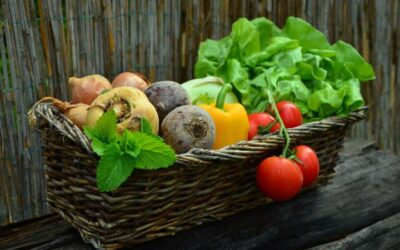 7 Reasons Why Real-time Supply Chain Monitoring is Essential for Restaurants | FSR magazine